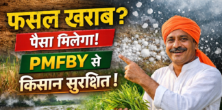 PMFBY scheme benefits / प्रधानमंत्री फसल बीमा योजना